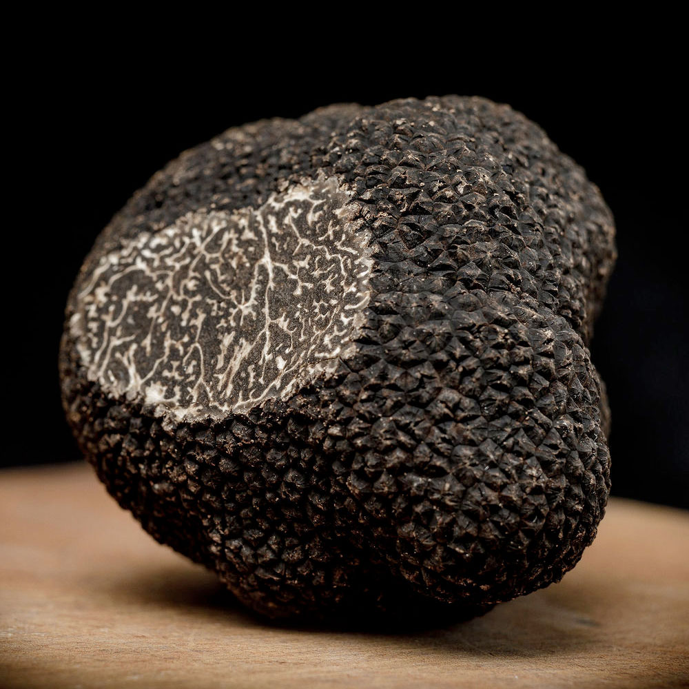 Black Winter Truffle